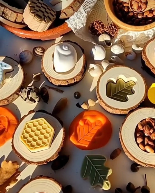 Nature Feel & Find Puzzle