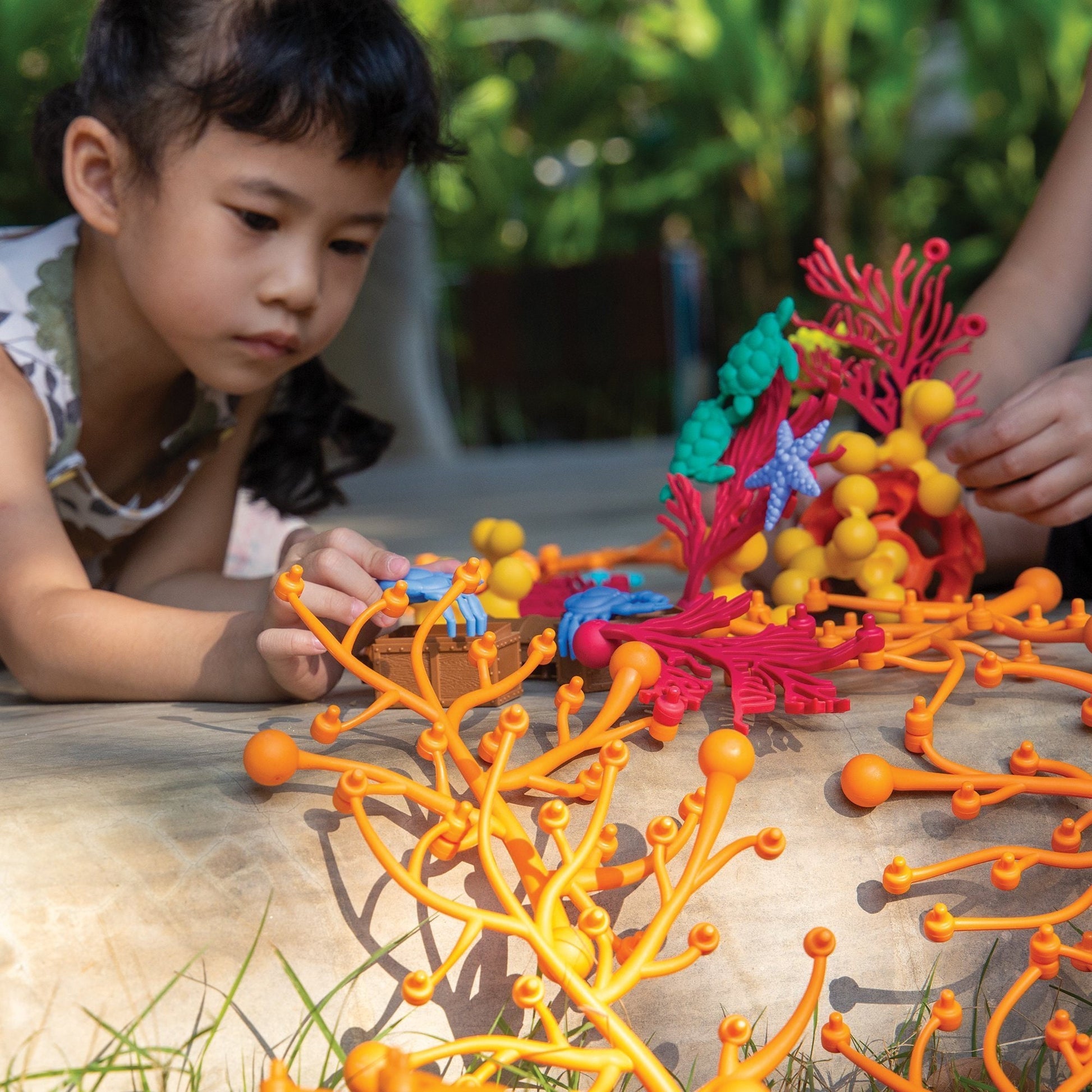 Coral Connections
