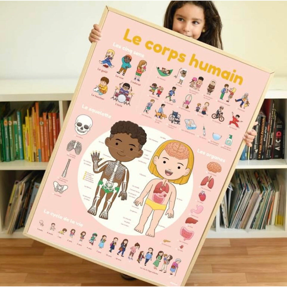 Human Body sticker poster - Serenity Toys Boutique